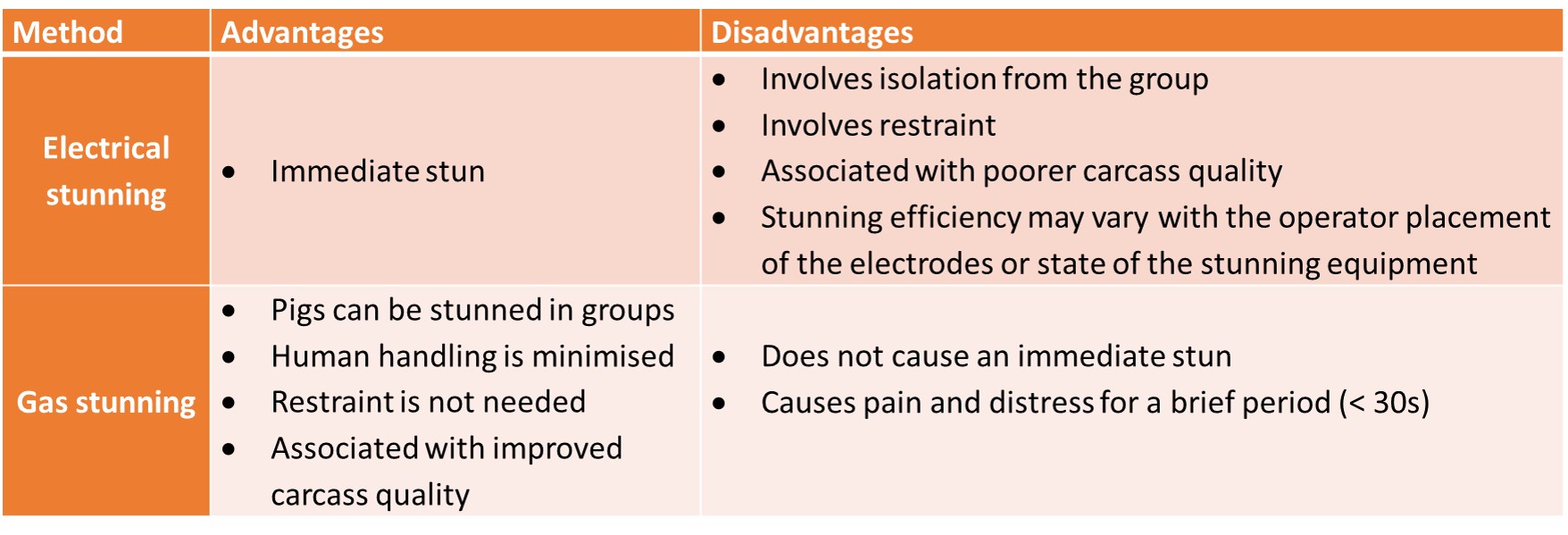 Stunning at slaughter is your hard work going to waste? The Pig Site